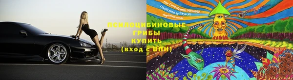 мет Алексин