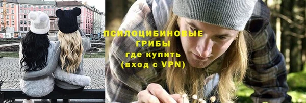 ГАЛЛЮЦИНОГЕННЫЕ ГРИБЫ Алзамай